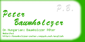 peter baumholczer business card
